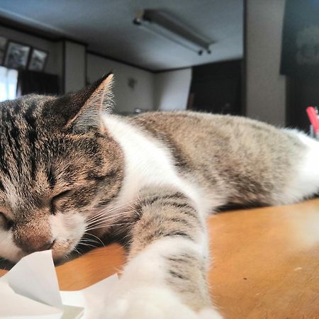 Tiny Guesthouse Umekoji 梅小路 Kyoto Luaran gambar